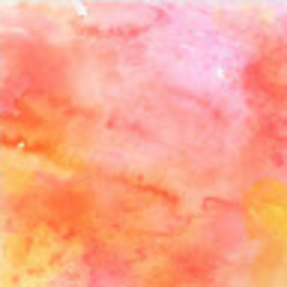 Meet your Posher, Avery - Picture 1 of 1